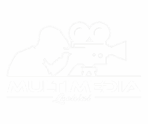 Logo Multimedialuchini.it